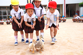 タコに触れる園児